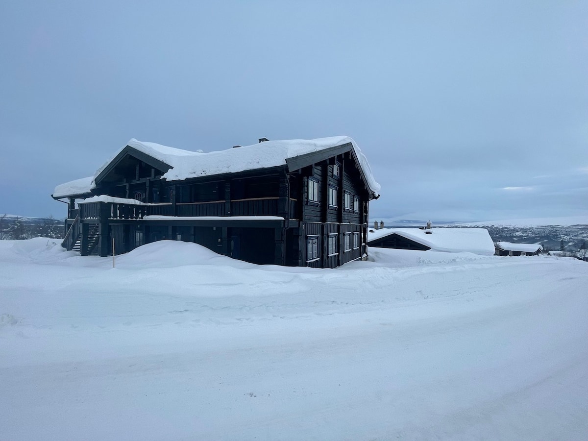 A multi-storey building is seen blanketed in snow, highlighting a dark wooden exterior with large windows. The surrounding area appears peaceful and covered in a thick layer of snow, creating a serene winter landscape.