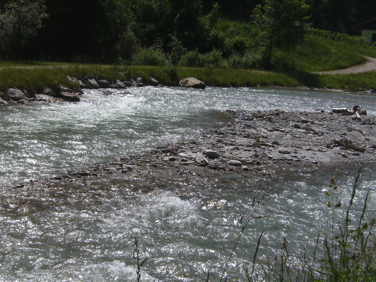 A gentle river flows over smooth stones, creating ripples across its surface. Lush greenery surrounds the water, adding to the natural setting. The bank is lined with grass and small wildflowers, contributing to the serene environment.