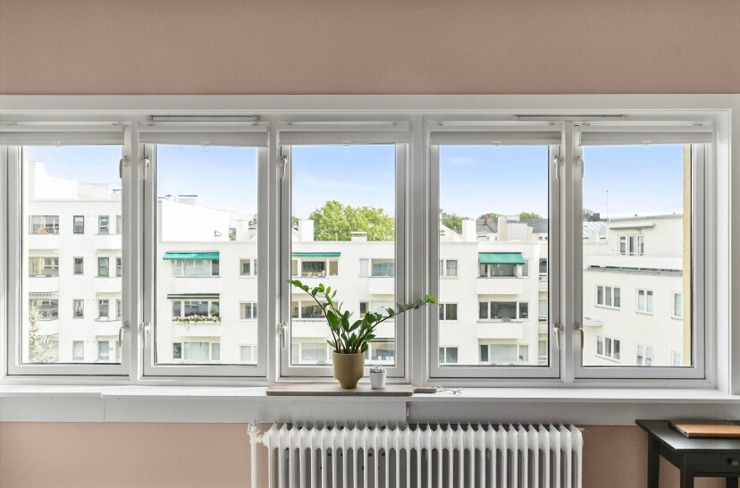 A row of four windows is situated along a light-colored wall, allowing natural light to fill the space. A small potted plant rests on the windowsill, with a view of surrounding buildings visible beyond the glass.