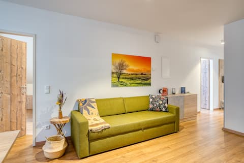 Alpinist Apartment with Charme -  Room Only