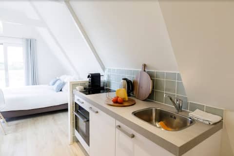 Villa Parnassia: standard studio