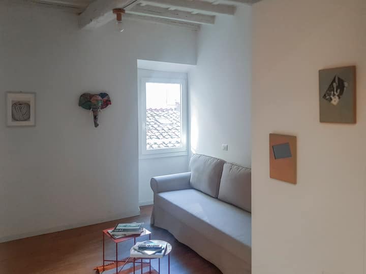 Splendido Appartamento In Vicolo Moroni Trastevere - Rome