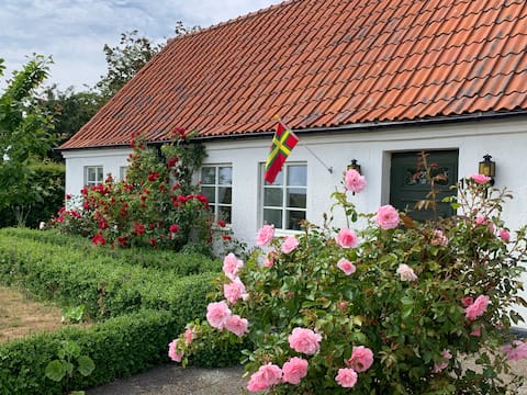 Charming Österlenhus for large and small groups