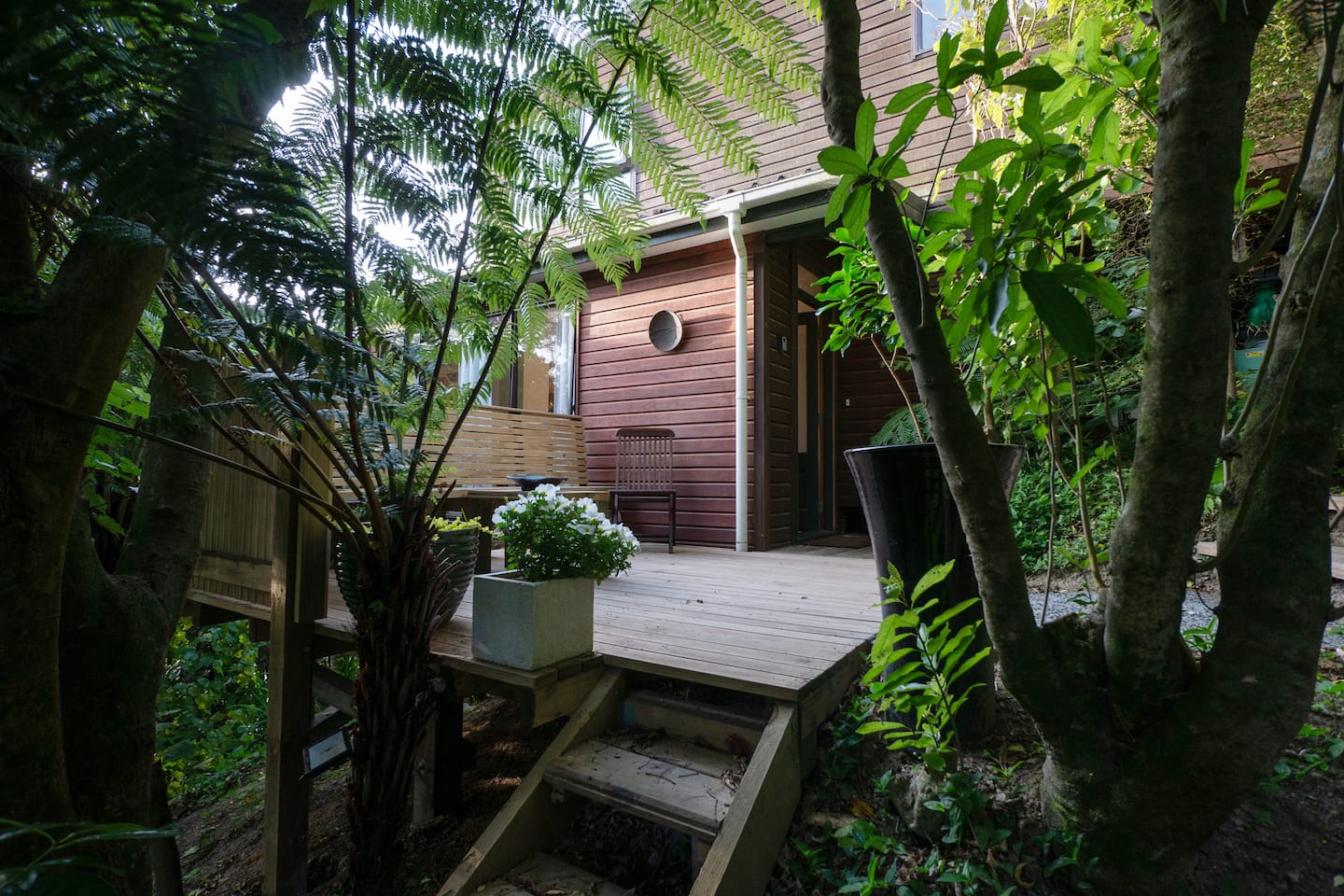 Punga Hideaway, Plimmerton. 3