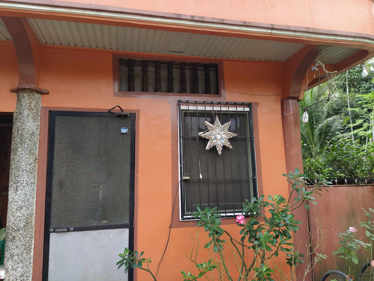 An exterior view of a house features a warm orange façade, complemented by decorative elements such as a star-shaped ornament on the window. A metal security door is visible, with a surrounding plant adding greenery to the entrance.
