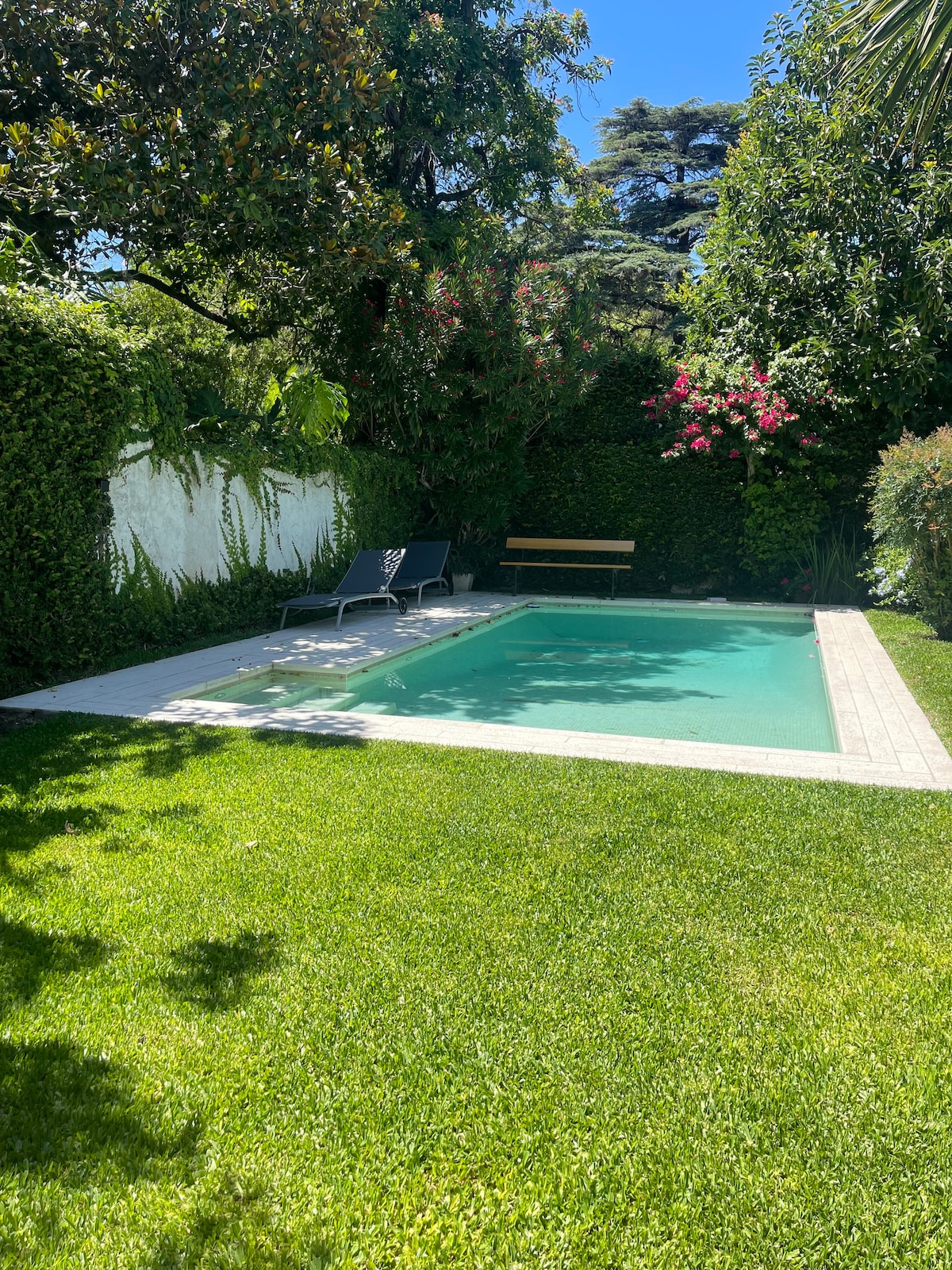 A private pool is surrounded by lush greenery, providing a tranquil setting within a well-maintained yard. Two lounge chairs are positioned near the edge of the pool, while a wooden bench offers additional seating under the trees.