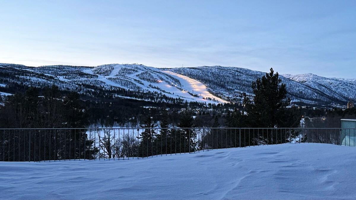 A snowy landscape is visible from the terrace, showcasing rolling hills blanketed in white. Ski trails can be seen winding down the mountainside, framed by snow-covered trees. The sky displays a soft blue hue as the day transitions toward evening.