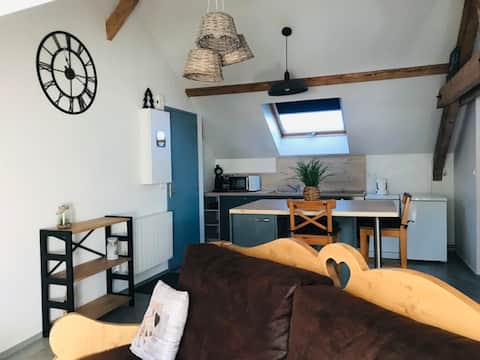 Annonce Airbnb populaire: The apartment in the Center of La Bresse à La Bresse