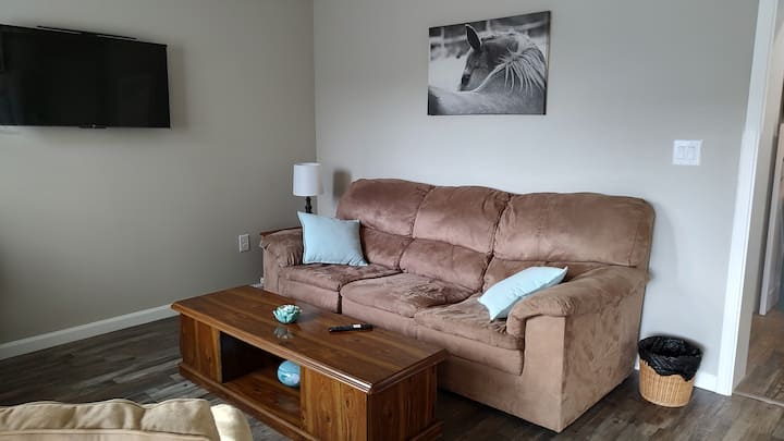 סלון עם ספה נפתחת בגודל קווין סייז.