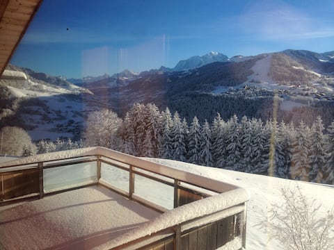 Large chalet facing Mont Blanc