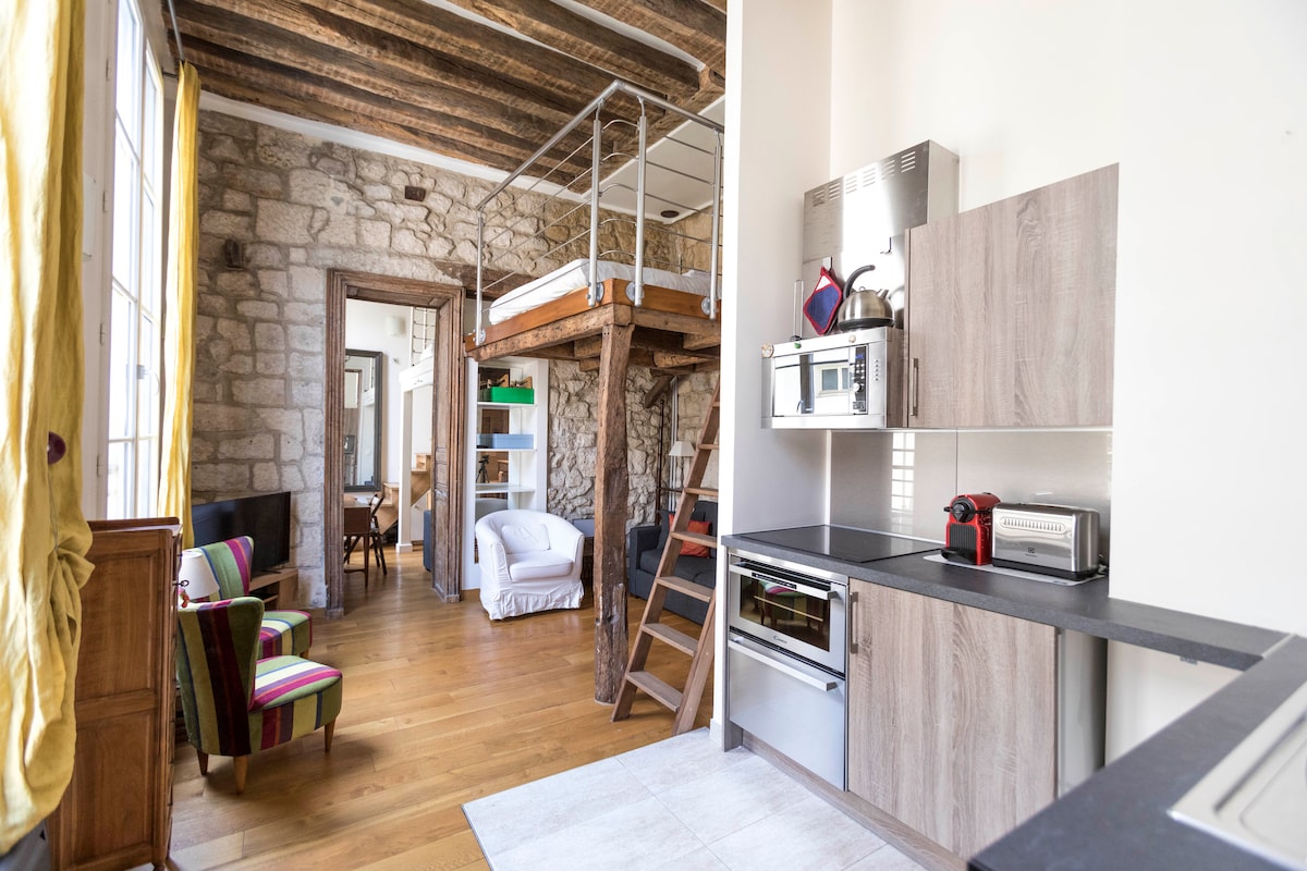 A well-equipped kitchen is visible with modern appliances and a countertop. A wooden staircase connects to a mezzanine bed above. The living area features a colorful armchair and a sofa. Exposed wooden beams and stone walls contribute to the apartment's character.