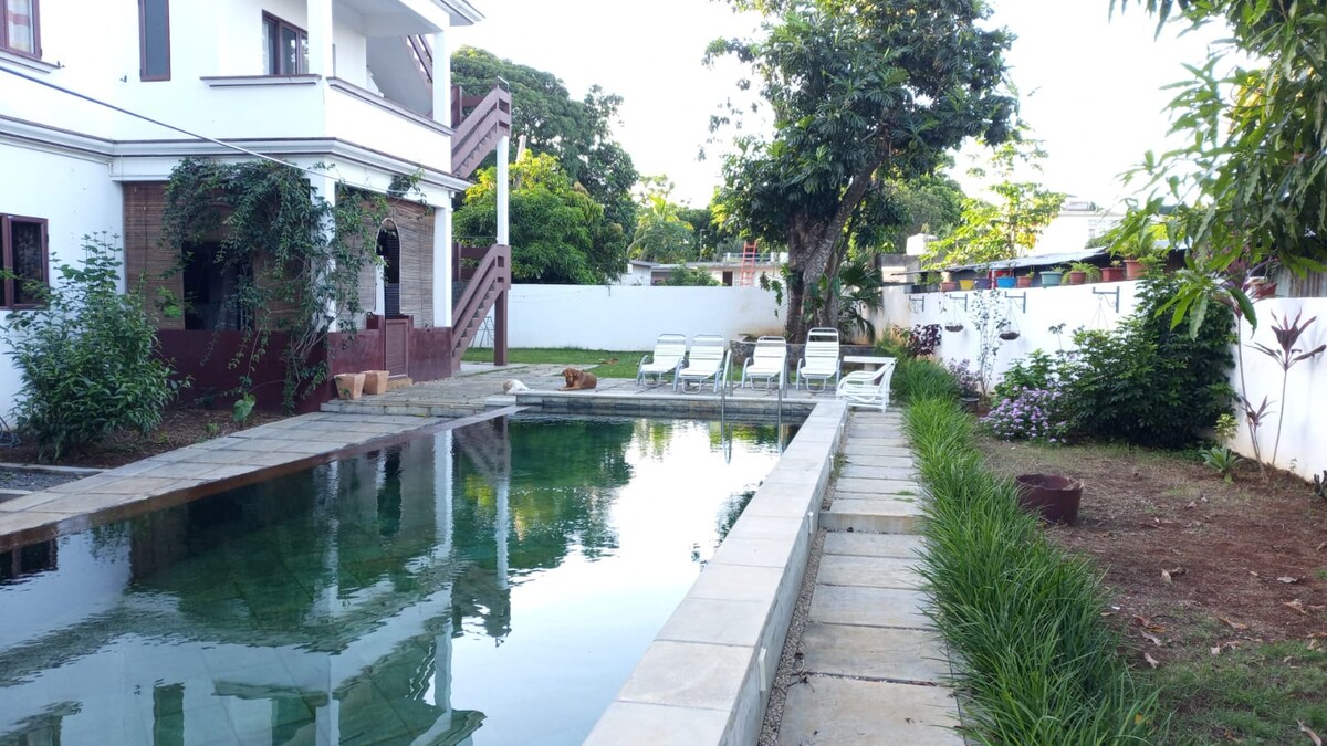 A tranquil swimming pool is framed by a stone pathway and surrounded by greenery. Lounge chairs are positioned along the edge, with plants and small trees offering a natural, serene setting. The white walls provide a contrast to the lush surroundings.