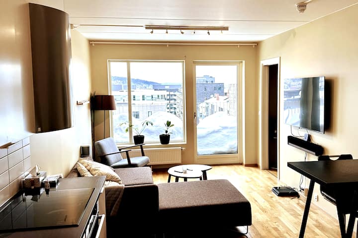 Sentral To-roms Toppleilighet – Med Solrik Balkong - Oslo