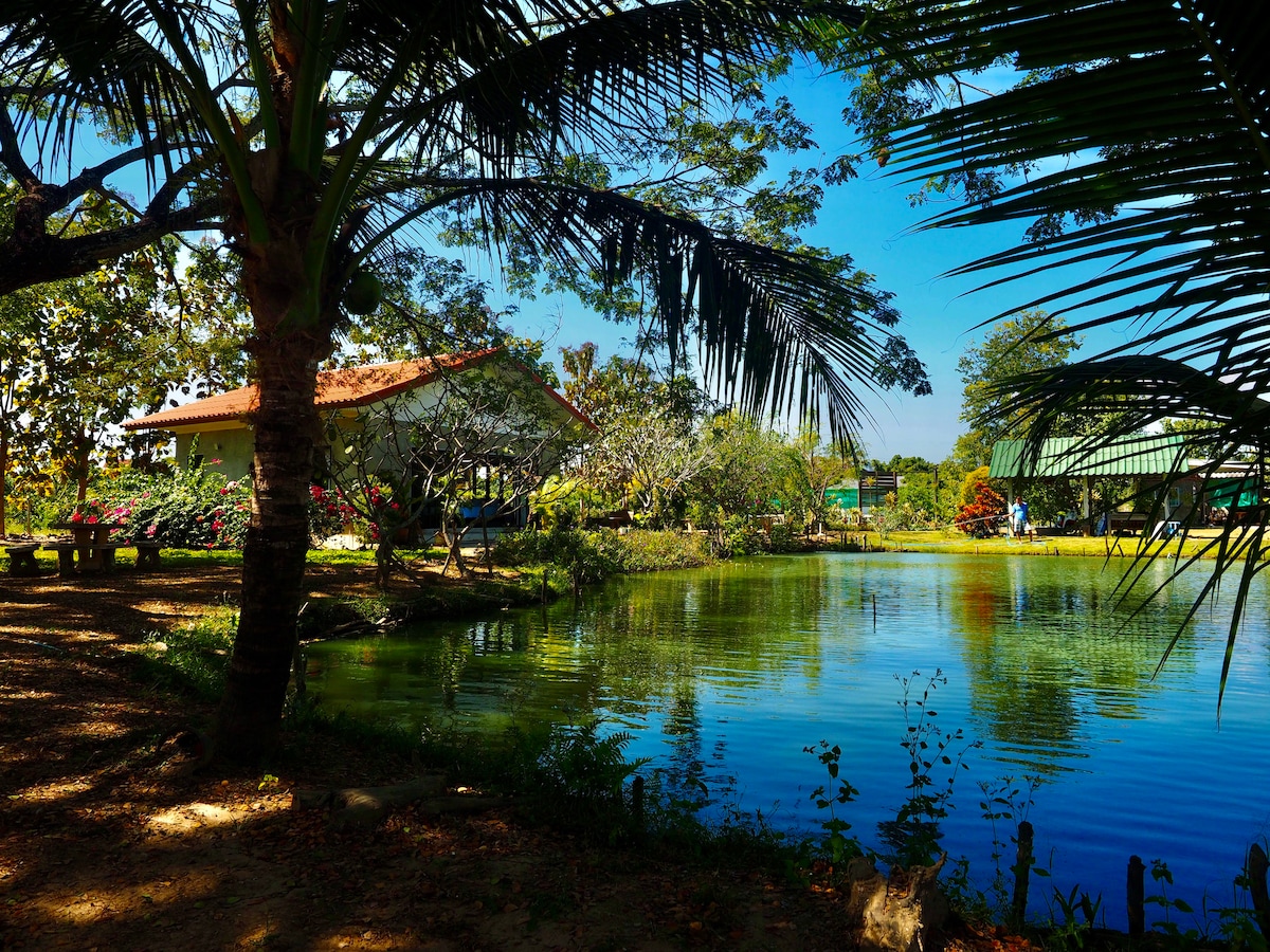 A serene pond reflects clear blue skies and lush vegetation, surrounded by palm trees and flowering plants. The Tea Tree House is visible in the background, blending harmoniously into the natural landscape. Soft shadows from the trees create a peaceful atmosphere.