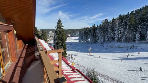 Borovets Ski Apartment with Fireplace