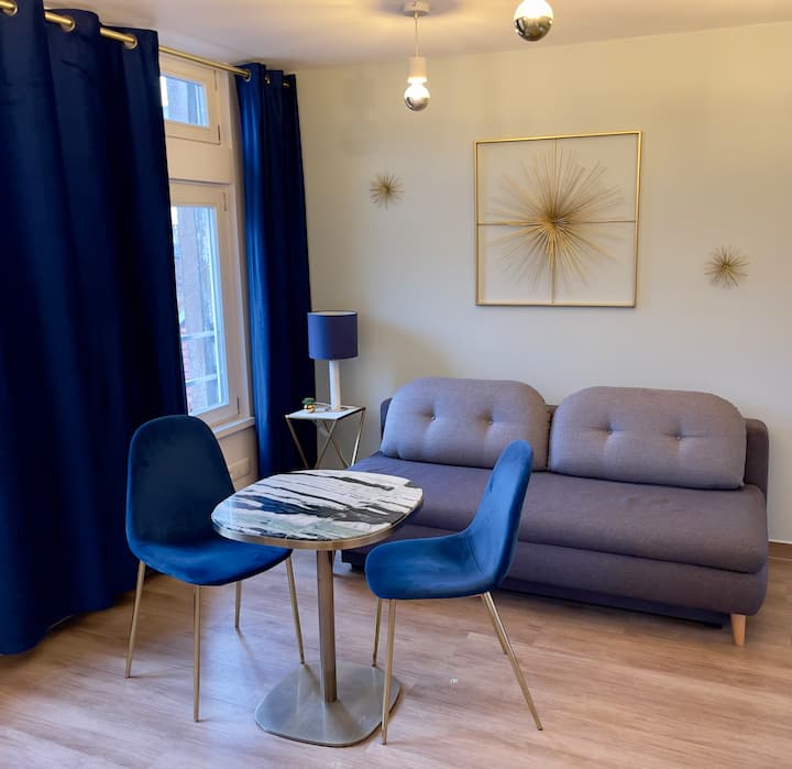 Appartement 2p Strasbourg Centre - Straatsburg
