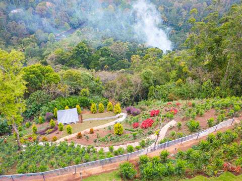 Stunning one bh Cottage munnar
