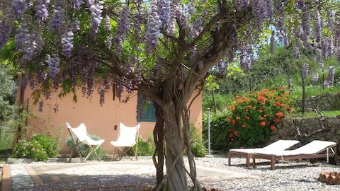 House with garden overlooking Mount Etna
