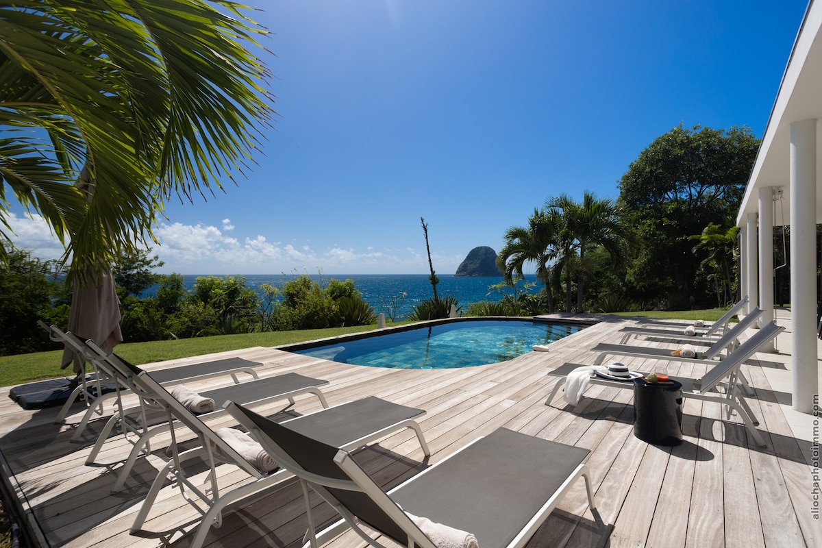 A sunlit terrace features a swimming pool surrounded by lounge chairs, offering an expansive view of the ocean and distant rock formations. Lush greenery frames the scene, enhancing the serene outdoor environment.