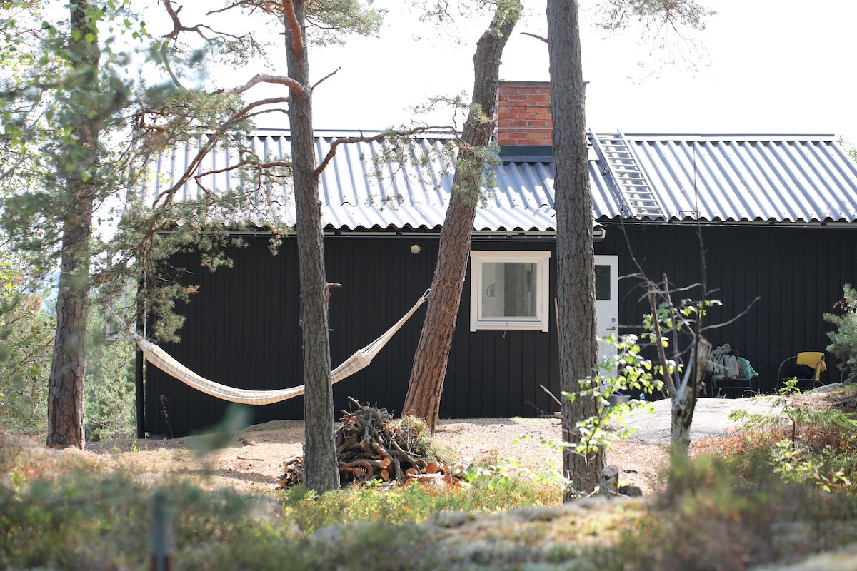 The Moose House