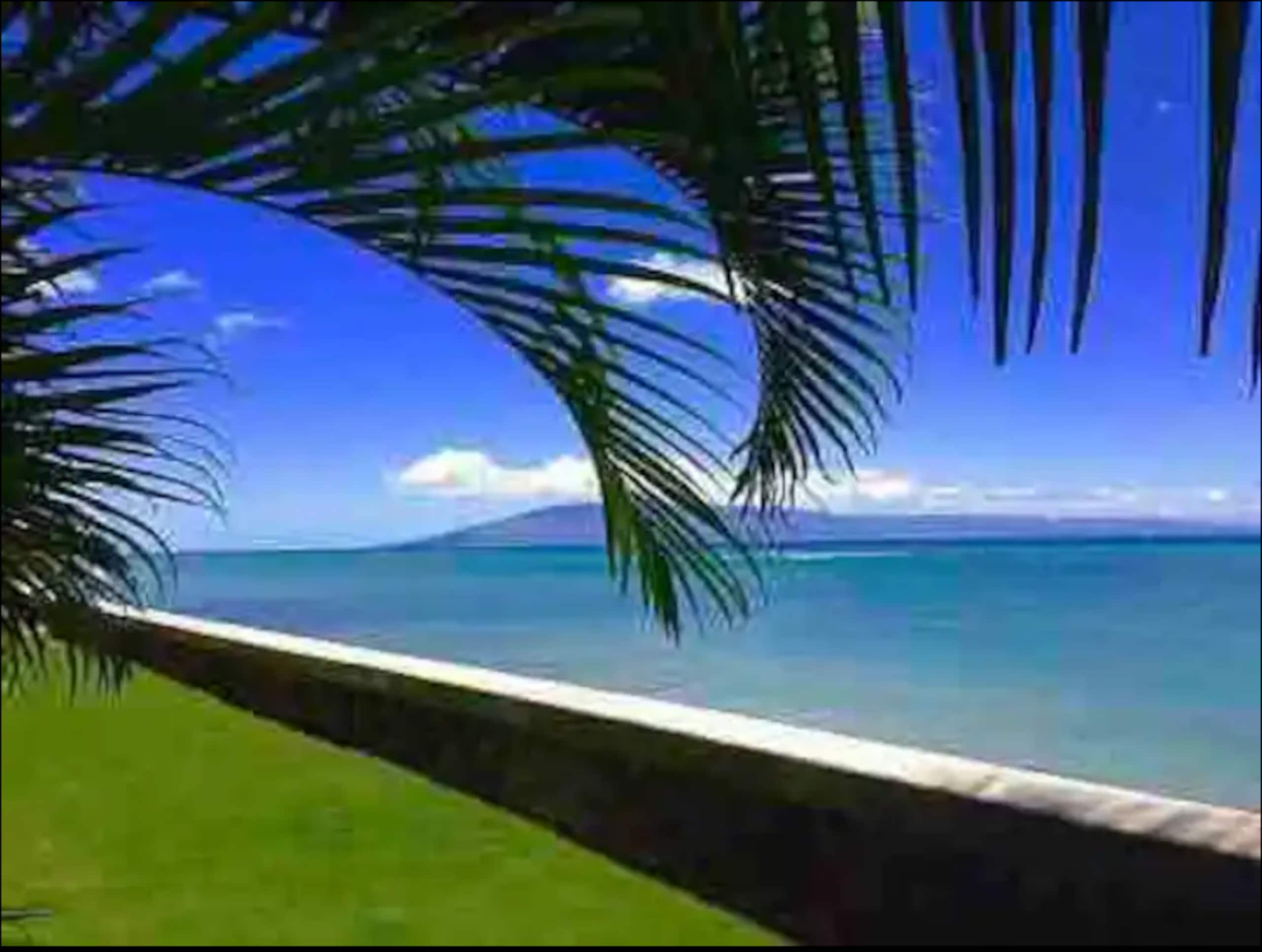 Condo in Lahaina · ★4.85 · Studio · 1 bed · 1 bath - Image 19