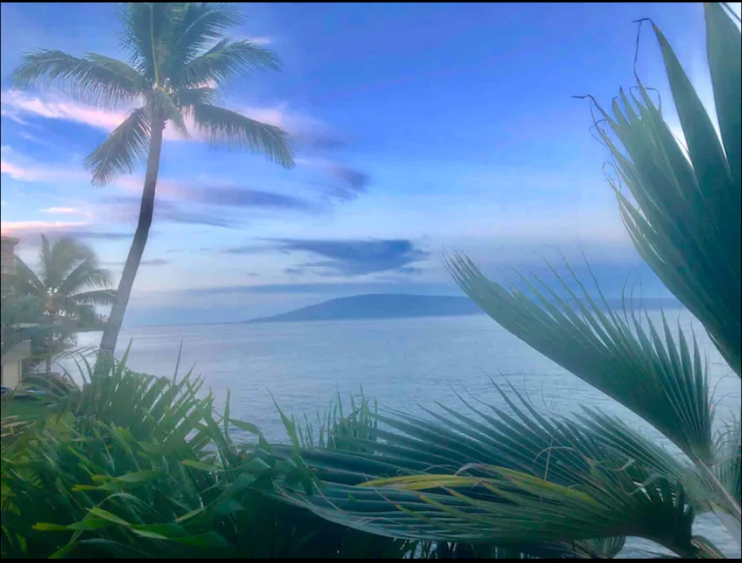 Condo in Lahaina · ★4.85 · Studio · 1 bed · 1 bath - Image 21