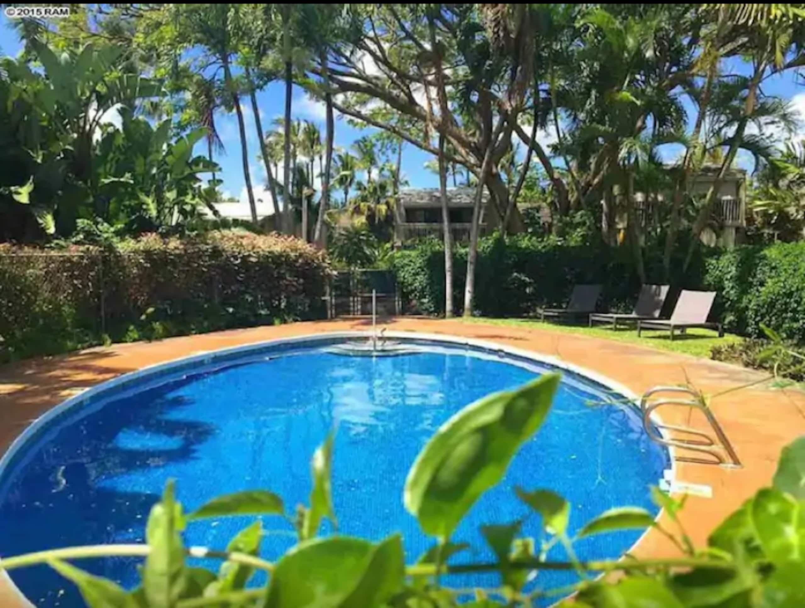 Condo in Lahaina · ★4.85 · Studio · 1 bed · 1 bath - Image 13