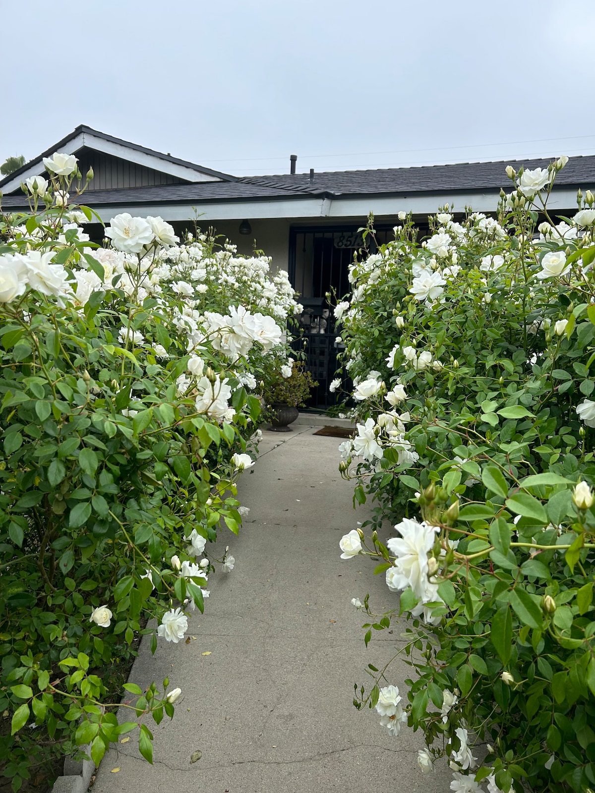 ¡Hermosa casa de 2 dormitorios! Casas en renta en Los Ángeles