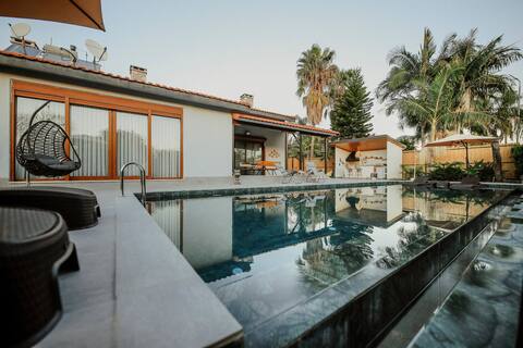 Villa Queen Palm
