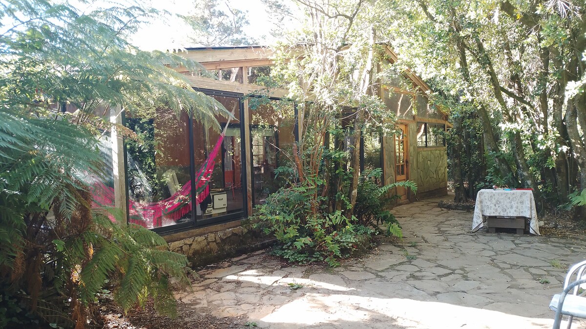 A stone pathway leads to a rustic house surrounded by lush greenery. Large windows are framed by foliage, allowing natural light to fill the interior. A table is set outside under a canopy of trees, creating an inviting space for relaxation.