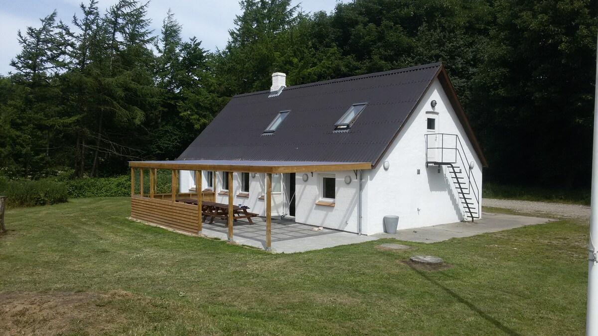 The exterior of the spacious cabin is shown, featuring a sloped black roof and white walls. A covered porch area includes a long picnic table with benches, while a staircase leads to the upper level. The surrounding area is grassy, framed by trees in the background.