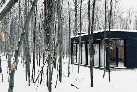 Top performing Airbnb: Glass architectural cabin in the woods. in Potton