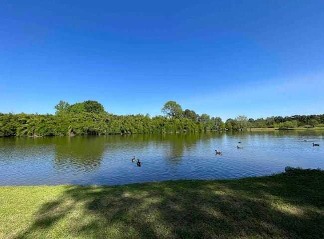 listing_image