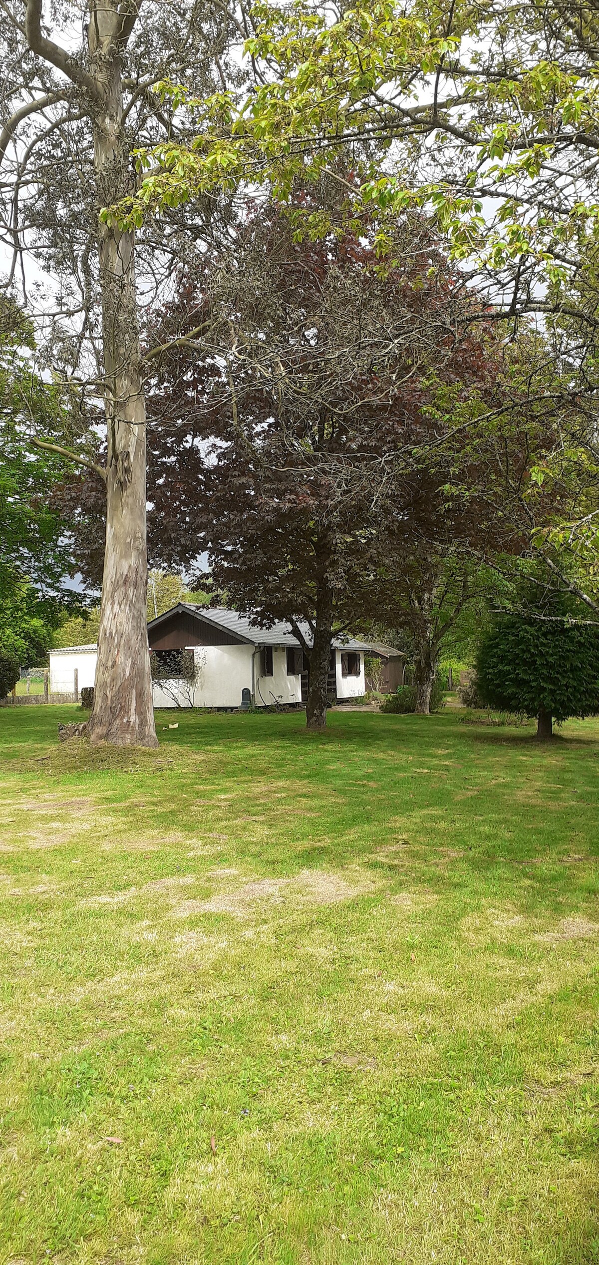 A wooden chalet is set within a spacious grassy area, framed by mature trees. The exterior of the chalet is partially visible, showcasing a simple design. The surrounding landscape features well-maintained greenery, providing a serene backdrop.