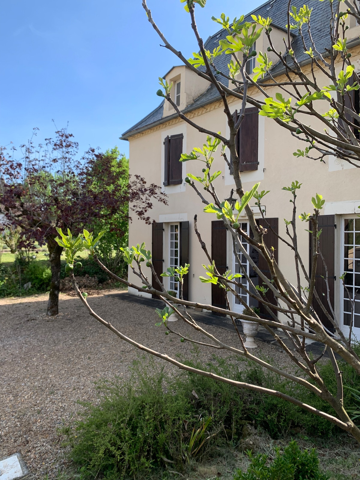 The exterior of the house is highlighted by freshly budding leaves and flowering trees. The pale-colored facade showcases several large windows with dark wooden shutters, complemented by a gravel pathway that leads to a well-maintained garden space.