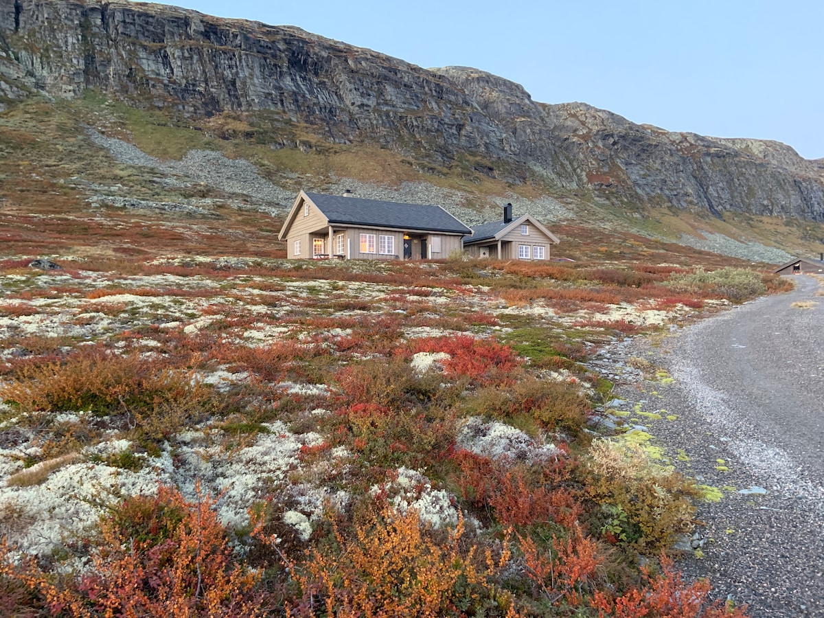 A picturesque cabin is situated amidst colorful fall foliage on a rugged landscape. Vibrant hues of red and yellow vegetation contrast against the earthy tones of the surrounding terrain. The cabin features large windows, providing an inviting view towards the scenic hills in the background.