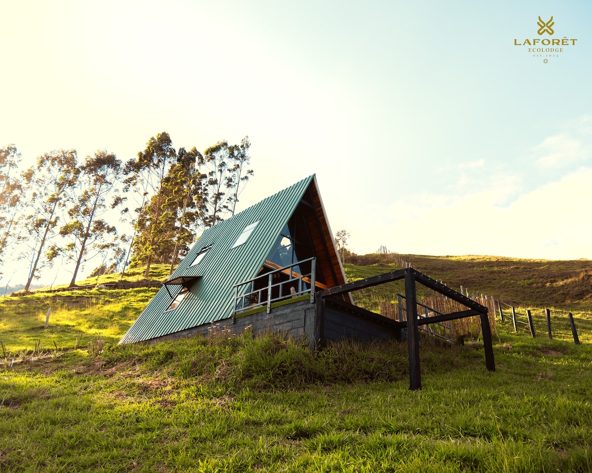 A triangular-roofed cabin is set against a backdrop of rolling green hills and tall trees. The building features large windows that invite natural light and provide scenic views of the surroundings. A wooden deck extends outwards, adding a welcoming outdoor space.