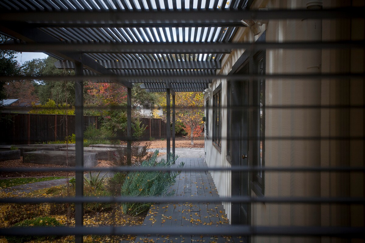 A view of an outdoor area is visible through a slatted fence, revealing a landscaped garden with autumn foliage. A wooden deck is seen, accompanied by various greenery and a gravel pathway leading to an unobstructed space in the background.