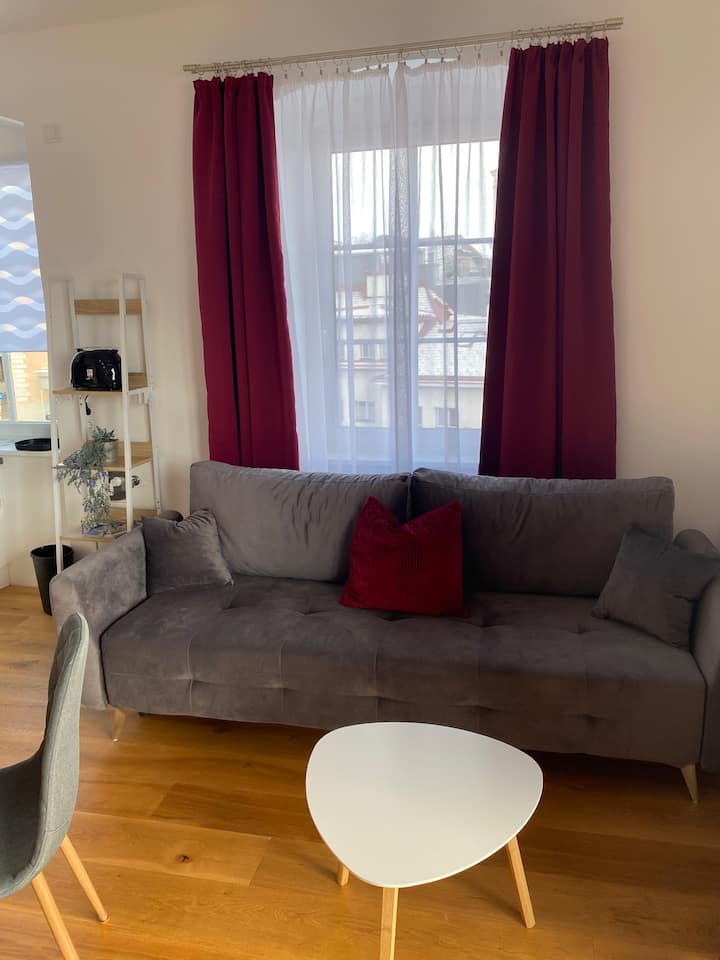 Citylake G23 / Lake Apartment - Gmunden