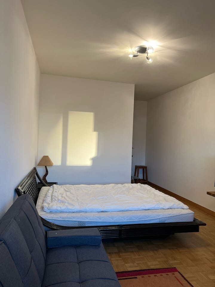 Studio Calme, Chaleureux Et Central - Geneva