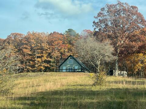The Deerlick Cabin on 40 acres!