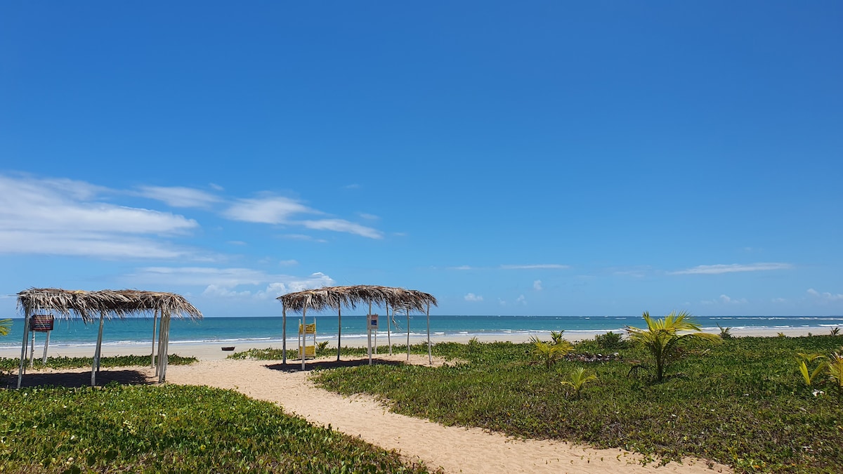 A serene beach scene is presented with two thatched-roof huts positioned near the shoreline. The sandy pathway invites guests towards the calm, clear waters, while lush green vegetation borders the beach. A vibrant blue sky completes this tranquil coastal setting.