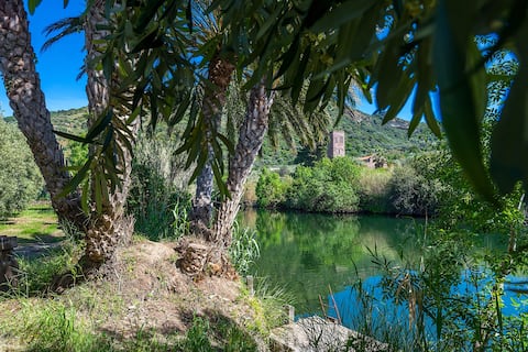 The cottage on the river
