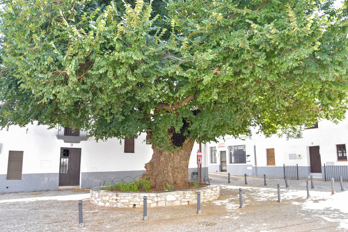 La Solana by Sierra Viva - Cottages for Rent in Cortelazor, Andalucía,  Spain - Airbnb