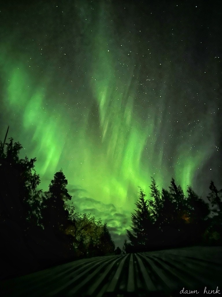 Vibrant green auroras illuminate the night sky, cascading above a dark landscape of silhouetted trees. Stars twinkle faintly in the background, enhancing the serene atmosphere of the natural light display.