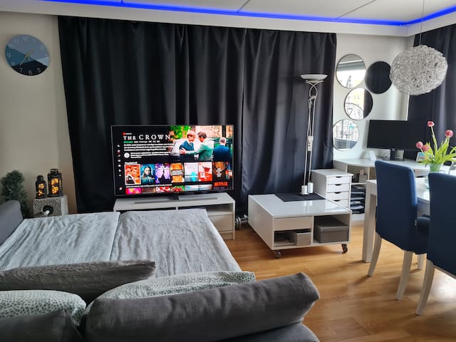 Oslo Central Station Apartment, private home