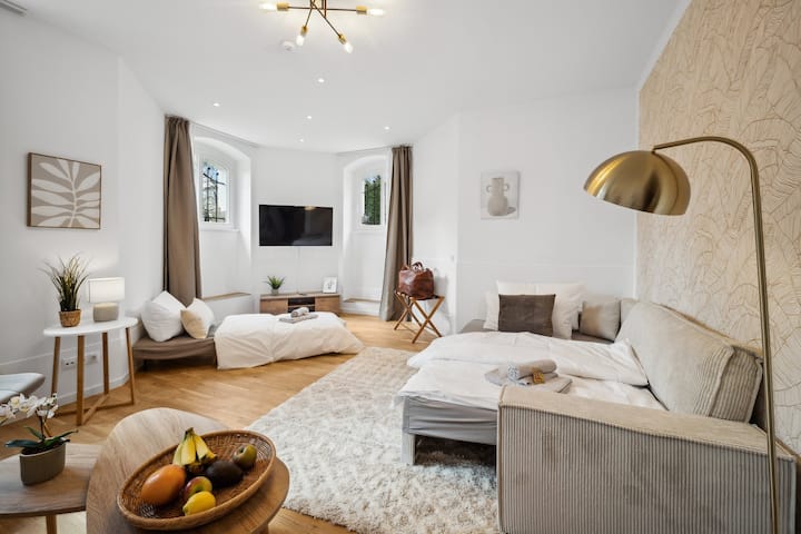 Großen Garten, Workplace, Family, 8 Ppl., Smart-tv - Dresden