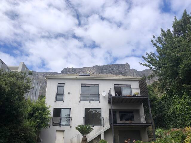 Family home in city bowl gallery image 2