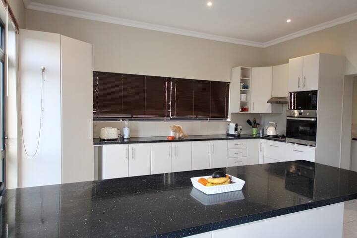 Family home in city bowl gallery image 5