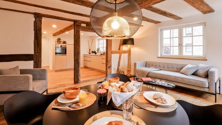 Faust Appartement Mit Terrasse - Bretten